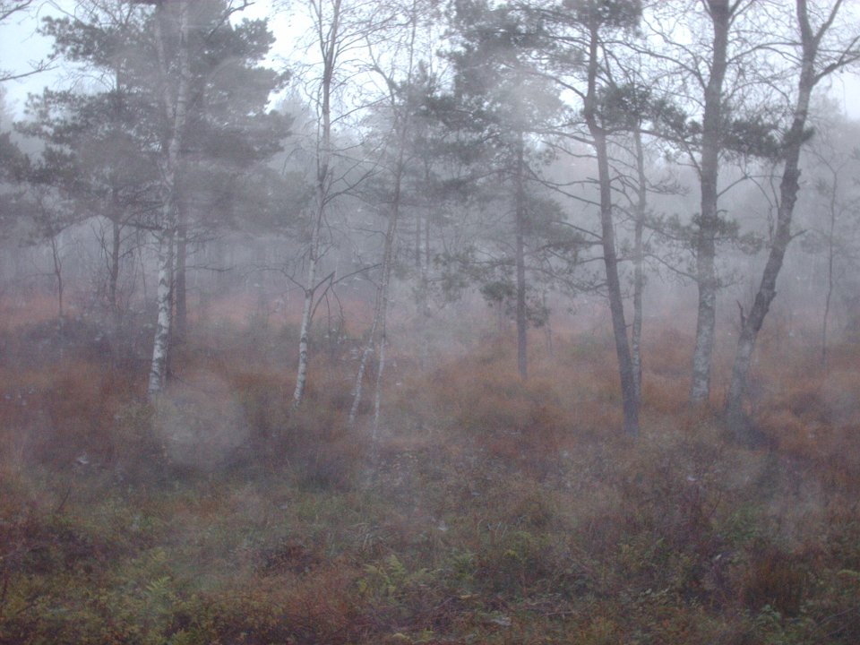 HPIM0774