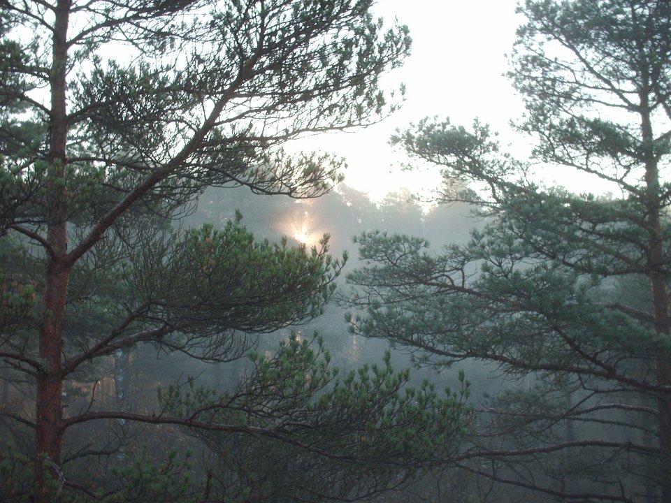 HPIM0776