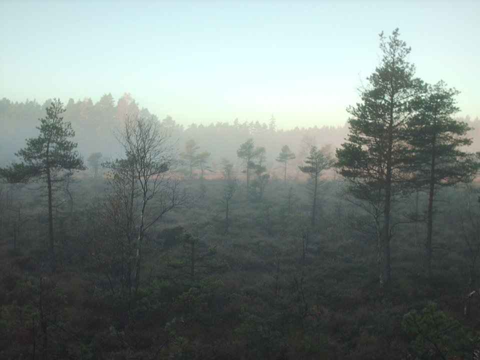 HPIM0778