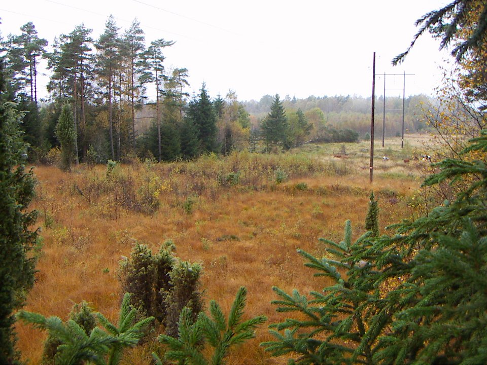 20051014 005