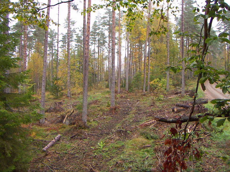 20051014 011