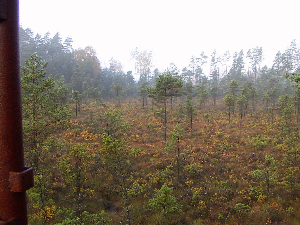20051014 024