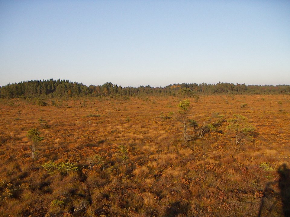 20051014 031