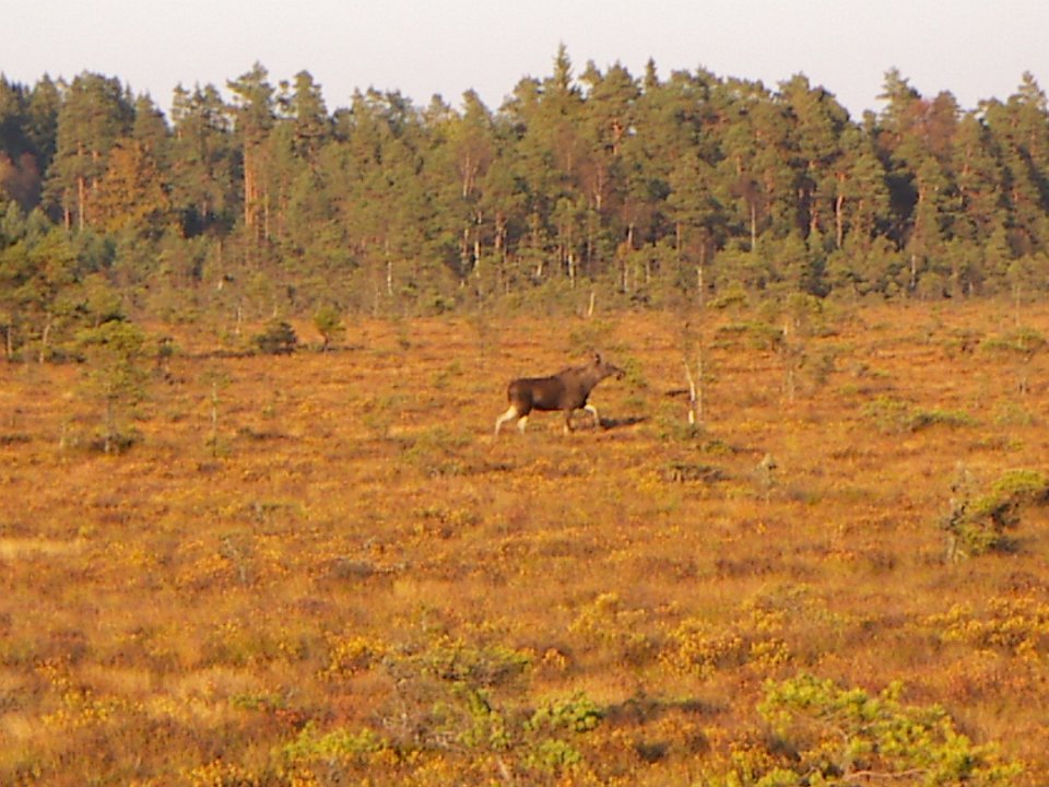 20051014 034