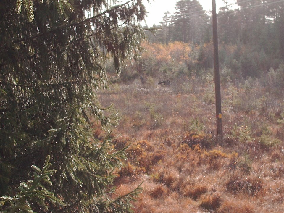 HPIM0687