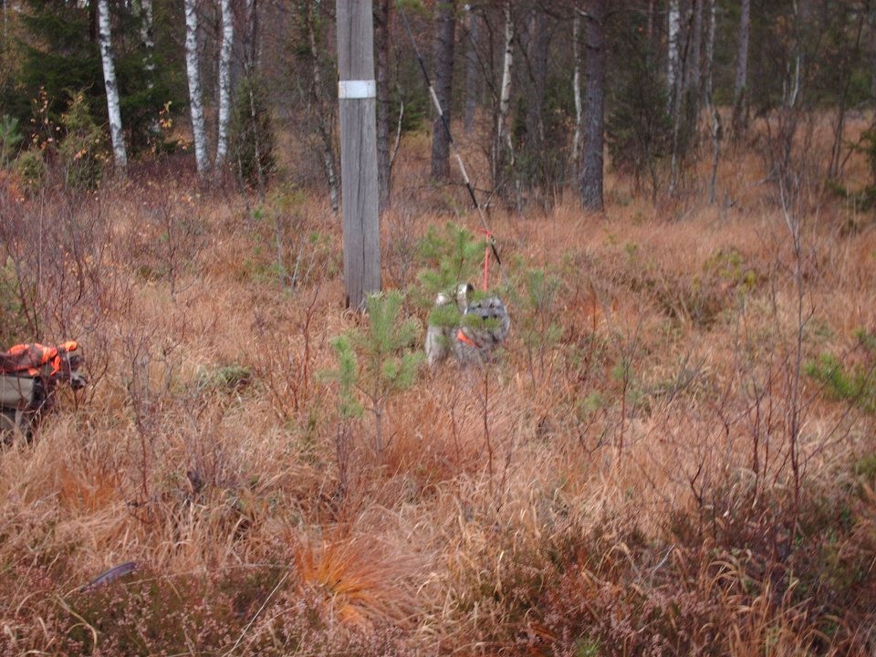 HPIM0694