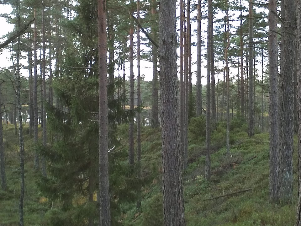 IMG062
