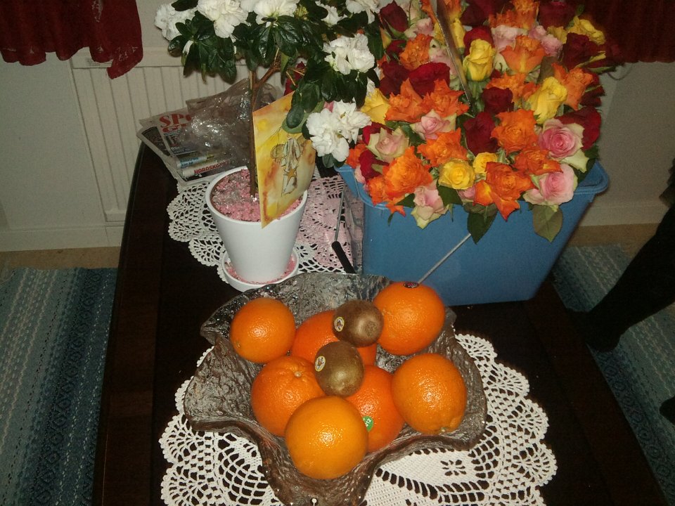 DSC00388