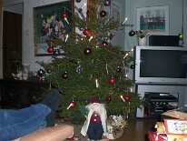 20071011_011 Kolla här !!! Den har vi fått direkt från soptippen! Den var riktigt billig.... och snygg oxå.......eller ??? Tomten har vi fått från zyrran