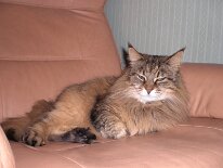 20071011_025 Kolla vad jag e Coool!!