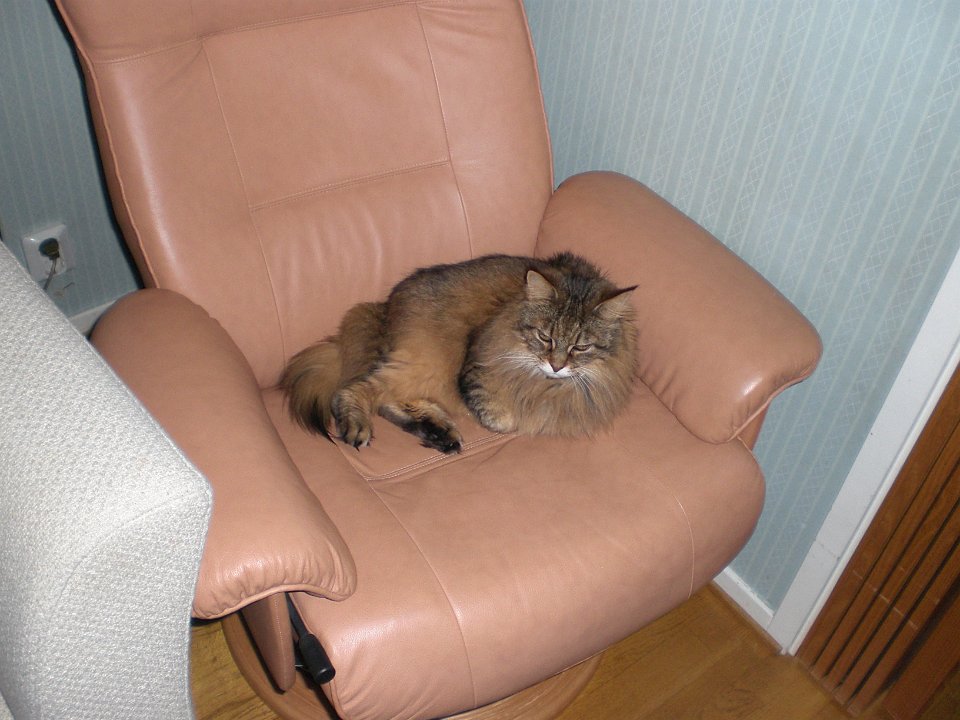 20071011 022