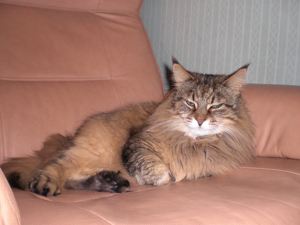 20071011 025