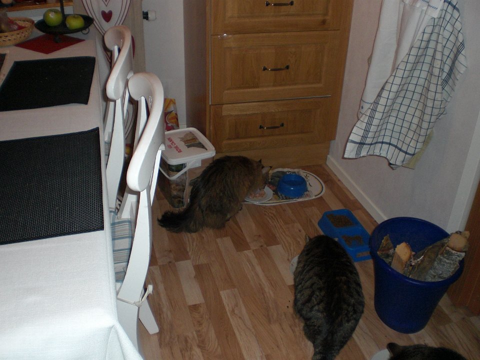 20071011 026