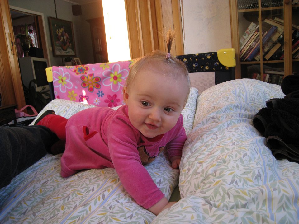 Bild 222