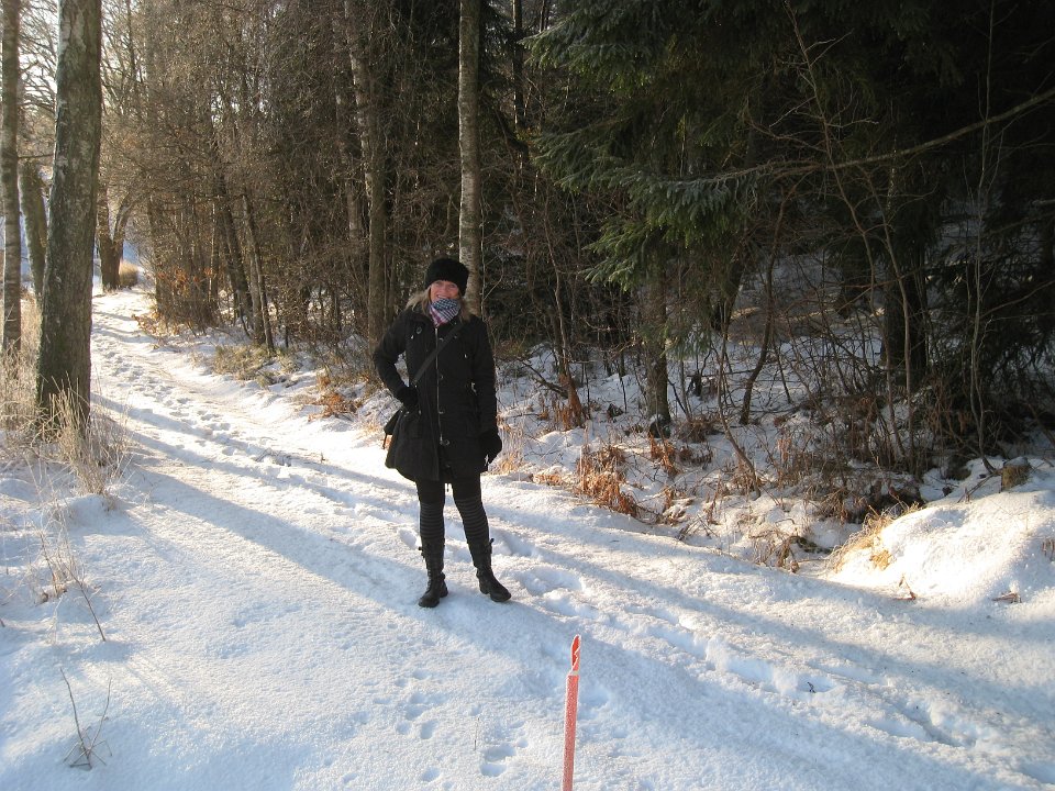 Bild 226