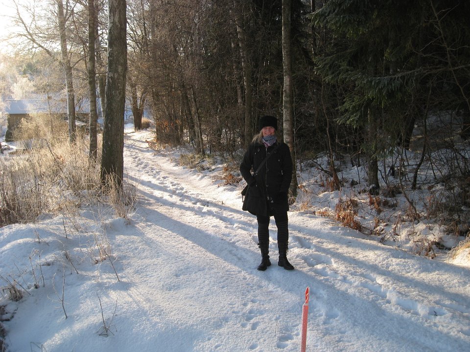 Bild 227