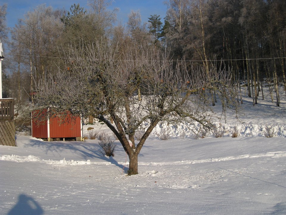 Bild 229
