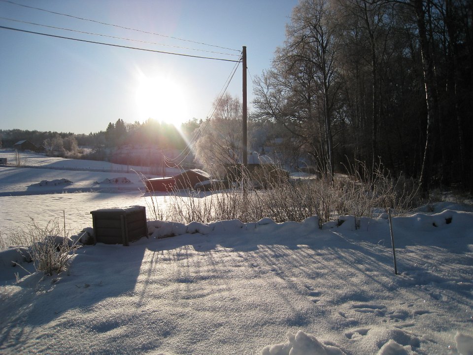 Bild 233