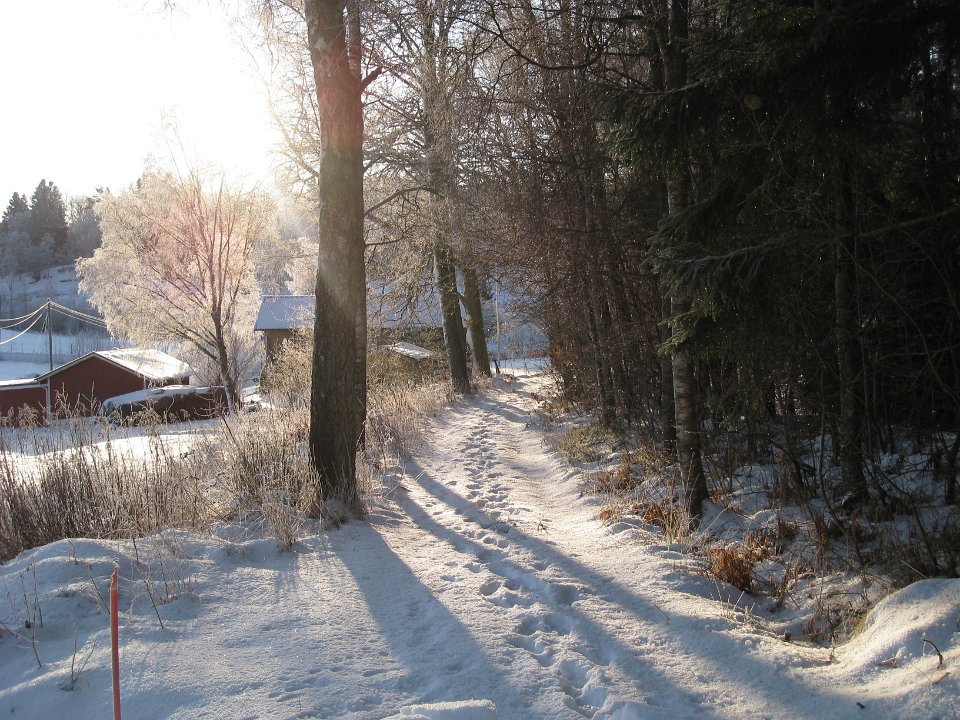 Bild 236