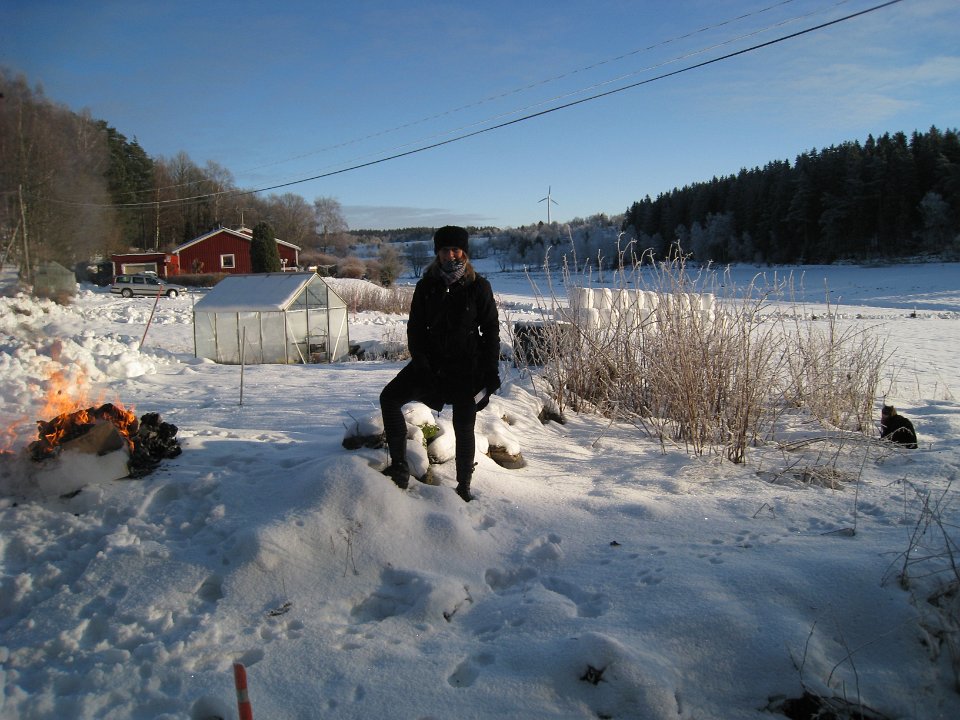 Bild 238