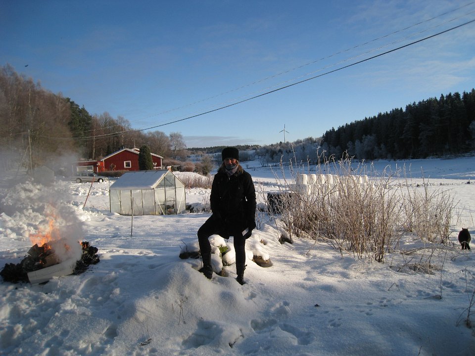 Bild 239