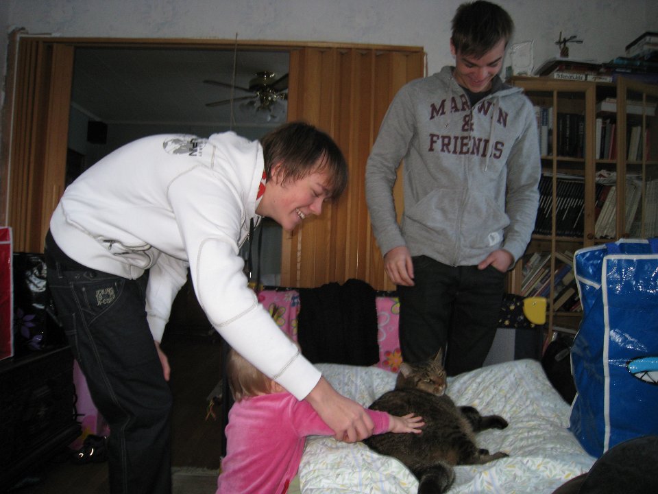 Bild 244