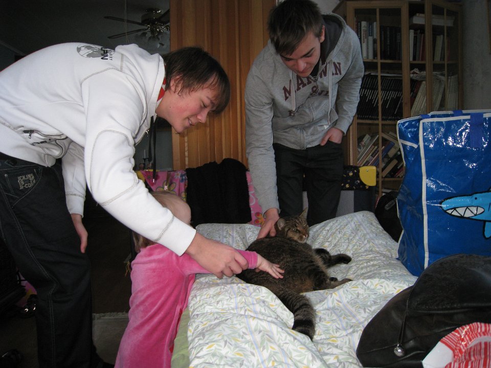 Bild 245