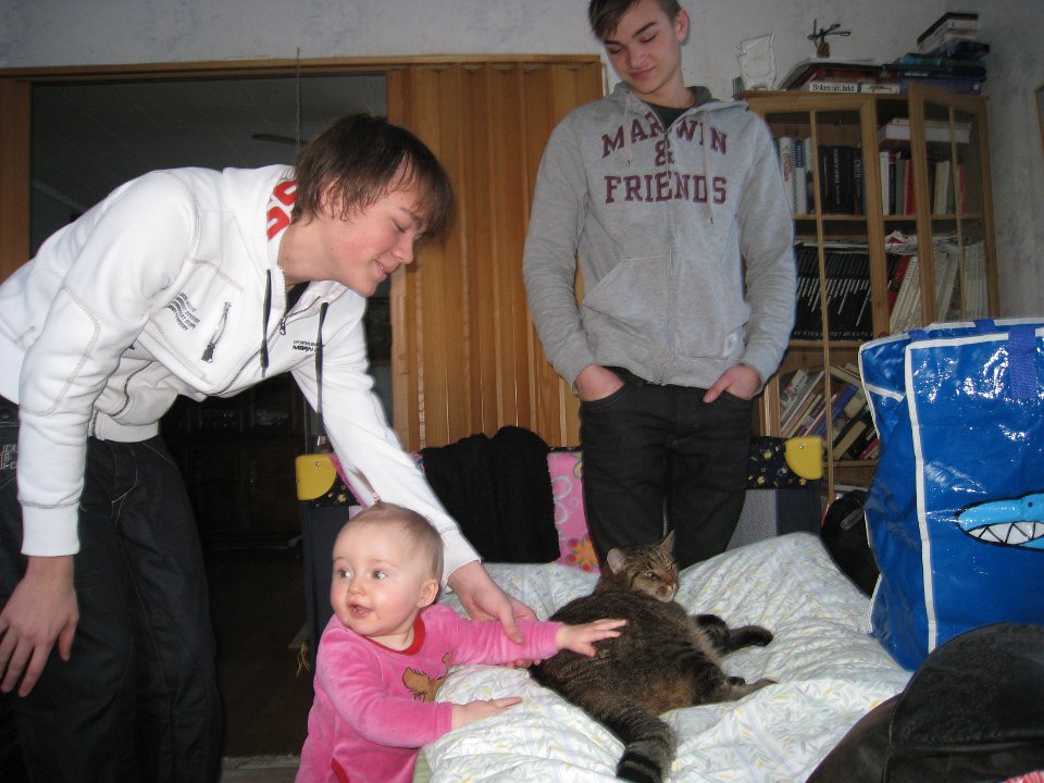 Bild 246