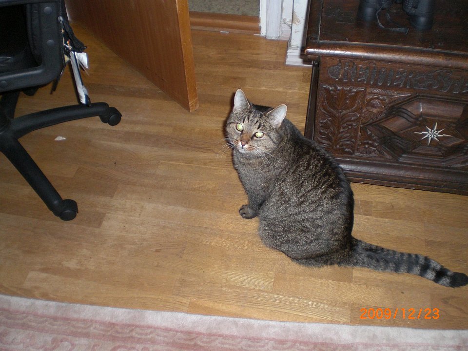 CIMG0977