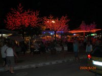 CIMG0805.jpg