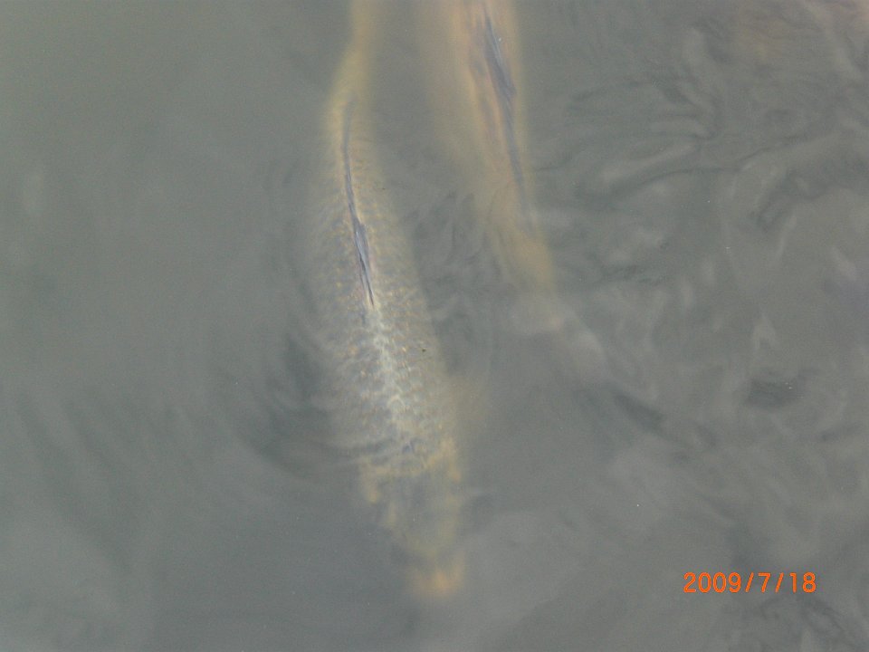 CIMG0908