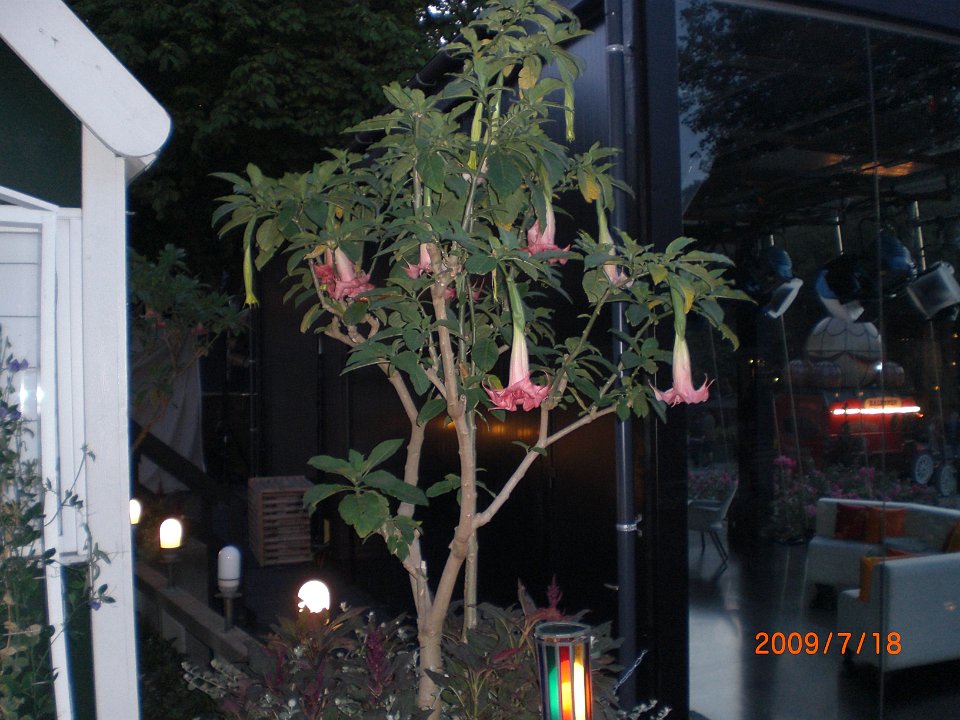 CIMG0915
