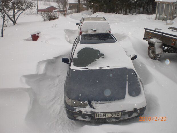 Dagen efter vinterstormen