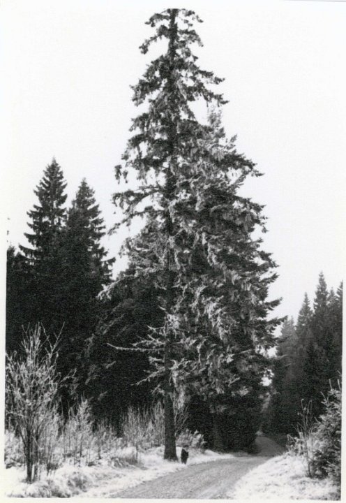 75c