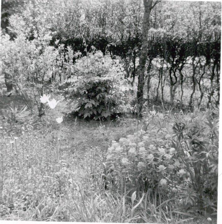 81e