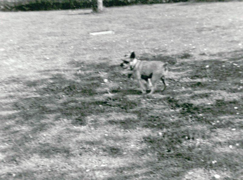 84a